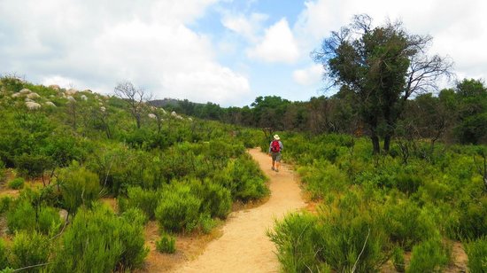 Temecula